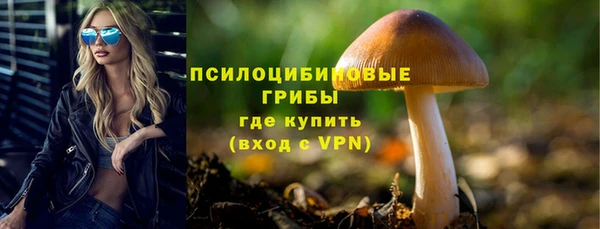 PSILOCYBIN Наволоки