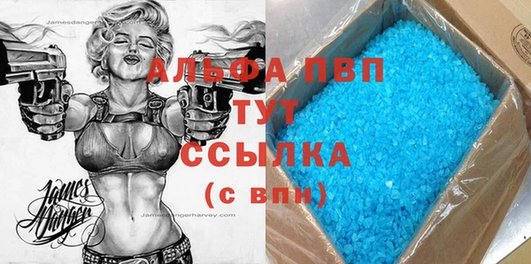 стаф Абинск
