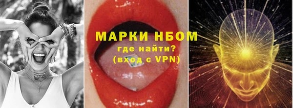 стаф Абинск