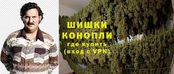 винт Абаза
