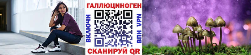 Галлюциногенные грибы Psilocybe  МЕГА маркетплейс  Фрязино  даркнет сайт 